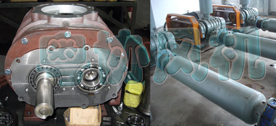 1486714739103874.jpg 7.jpg