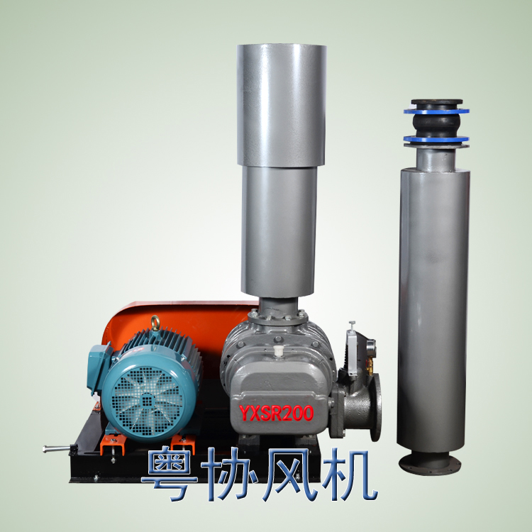 羅茨風(fēng)機(jī) 羅茨風(fēng)機(jī)